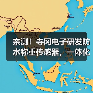 亲测!寺冈电子研发防水称重传感器,一体化作业落地见效有多猛?(图3) 亲测!寺冈电子研发防水称重传感器,一体化作业落地见效有多猛?(图3)