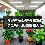 海尔冰箱冬季冷藏温度怎么调？正确设置方法详解（图4）