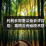 托利多称重设备参评背后：高精度传感技术获奖一体化作业如何稳步推进（图3）