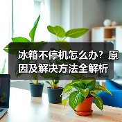 冰箱不停机怎么办?原因及解决方法全解析(图4) 冰箱不停机怎么办?原因及解决方法全解析(图4)