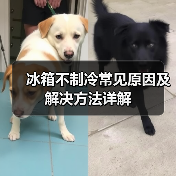 冰箱不制冷常见原因及解决方法详解（图3）