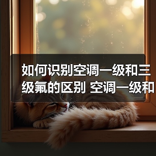 如何识别空调一级和三级氟的区别 空调一级和三级氟的区别介绍【详解】(图3) 如何识别空调一级和三级氟的区别 空调一级和三级氟的区别介绍【详解】(图3)