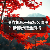 洗衣机甩干桶怎么清洗?拆卸步骤全解析(图4) 洗衣机甩干桶怎么清洗?拆卸步骤全解析(图4)