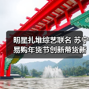 明星扎堆综艺联名 苏宁易购年货节创新带货新模式(图2) 明星扎堆综艺联名 苏宁易购年货节创新带货新模式(图2)