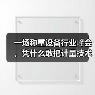 一场称重设备行业峰会,凭什么敢把计量技术经验交流和一体化作业同时办?(图3) 一场称重设备行业峰会,凭什么敢把计量技术经验交流和一体化作业同时办?(图3)