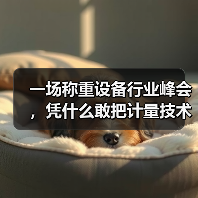 一场称重设备行业峰会,凭什么敢把计量技术经验交流和一体化作业同时办?(图4) 一场称重设备行业峰会,凭什么敢把计量技术经验交流和一体化作业同时办?(图4)