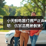 小天鹅电器打假严正声明:仿冒品竟是假货?竟遭恶意仿冒?追责到底!(图3) 小天鹅电器打假严正声明:仿冒品竟是假货?竟遭恶意仿冒?追责到底!(图3)
