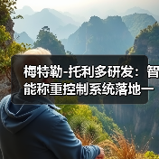 梅特勒-托利多研发:智能称重控制系统落地一体化如何做到衔接顺畅?(图1) 梅特勒-托利多研发:智能称重控制系统落地一体化如何做到衔接顺畅?(图1)