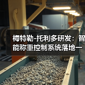 梅特勒-托利多研发:智能称重控制系统落地一体化如何做到衔接顺畅?(图3) 梅特勒-托利多研发:智能称重控制系统落地一体化如何做到衔接顺畅?(图3)