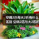 空调2匹与大2匹有什么区别 空调2匹与大2匹的区别【详解】(图1) 空调2匹与大2匹有什么区别 空调2匹与大2匹的区别【详解】(图1)