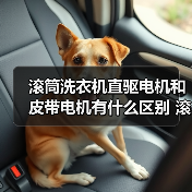 滚筒洗衣机直驱电机和皮带电机有什么区别 滚筒洗衣机直驱电机和皮带电机对比【详解】（图2）