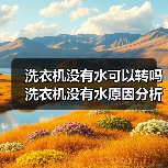 洗衣机没有水可以转吗 洗衣机没有水原因分析【详解】(图2) 洗衣机没有水可以转吗 洗衣机没有水原因分析【详解】(图2)
