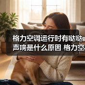格力空调运行时有哒哒声响是什么原因 格力空调运行时有哒哒声响解决办法【详解】(图3) 格力空调运行时有哒哒声响是什么原因 格力空调运行时有哒哒声响解决办法【详解】(图3)