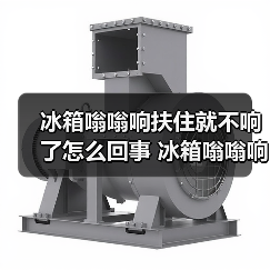 冰箱嗡嗡响扶住就不响了怎么回事 冰箱嗡嗡响扶住就不响了原因分析【详解】(图4) 冰箱嗡嗡响扶住就不响了怎么回事 冰箱嗡嗡响扶住就不响了原因分析【详解】(图4)