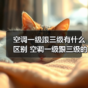 空调一级跟三级有什么区别 空调一级跟三级的区别解析【详解】（图2）
