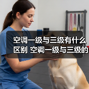空调一级与三级有什么区别 空调一级与三级的区别【详解】(图3) 空调一级与三级有什么区别 空调一级与三级的区别【详解】(图3)