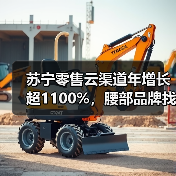 苏宁零售云渠道年增长超1100%,腰部品牌找到增长“确定性”(图4) 苏宁零售云渠道年增长超1100%,腰部品牌找到增长“确定性”(图4)