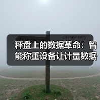 秤盘上的数据革命:智能称重设备让计量数据自主上传一体化作业落地见效(图3) 秤盘上的数据革命:智能称重设备让计量数据自主上传一体化作业落地见效(图3)