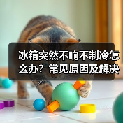 冰箱突然不响不制冷怎么办?常见原因及解决方法详解(图4) 冰箱突然不响不制冷怎么办?常见原因及解决方法详解(图4)