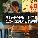 冰箱突然不响不制冷怎么办?常见原因及解决方法详解(图2) 冰箱突然不响不制冷怎么办?常见原因及解决方法详解(图2)