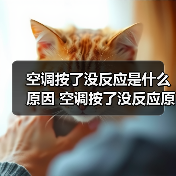 空调按了没反应是什么原因 空调按了没反应原因分析【详解】(图2) 空调按了没反应是什么原因 空调按了没反应原因分析【详解】(图2)