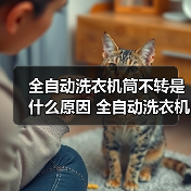 全自动洗衣机筒不转是什么原因 全自动洗衣机筒不转解决方法【详解】（图1）