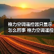 格力空调遥控器只显示怎么回事 格力空调遥控器只显示解决方法【详解】（图4）