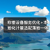 称重设备服务优化+本地化计量适配落地一体化作业，圆满完成！2026最全实战指南（图2）