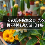 洗衣机不转怎么办 洗衣机不转解决方法【详解】(图4) 洗衣机不转怎么办 洗衣机不转解决方法【详解】(图4)