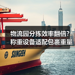 物流园分拣效率翻倍？称重设备适配包裹重量分拣计量一体化作业，落地见效的真相（图4）