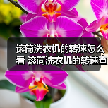 滚筒洗衣机的转速怎么看 滚筒洗衣机的转速查看方法【详解】(图1) 滚筒洗衣机的转速怎么看 滚筒洗衣机的转速查看方法【详解】(图1)