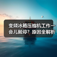 变频冰箱压缩机工作一会儿就停?原因全解析(图2) 变频冰箱压缩机工作一会儿就停?原因全解析(图2)