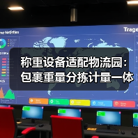 称重设备适配物流园:包裹重量分拣计量一体化作业如何落地见效?(图2) 称重设备适配物流园:包裹重量分拣计量一体化作业如何落地见效?(图2)