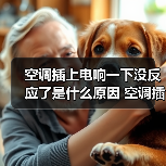空调插上电响一下没反应了是什么原因 空调插上电响一下没反应了原因分析【详解】(图1) 空调插上电响一下没反应了是什么原因 空调插上电响一下没反应了原因分析【详解】(图1)