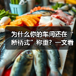 为什么你的车间还在“断桥式”称重？一文看懂智能称重设备应用与跨车间计量一体化（图2）