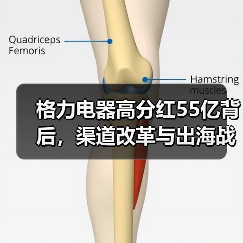 格力电器高分红55亿背后,渠道改革与出海战略如何破局?(图3) 格力电器高分红55亿背后,渠道改革与出海战略如何破局?(图3)
