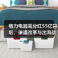 格力电器高分红55亿背后,渠道改革与出海战略如何破局?(图4) 格力电器高分红55亿背后,渠道改革与出海战略如何破局?(图4)