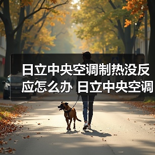 日立中央空调制热没反应怎么办 日立中央空调制热没反应解决方法【详解】(图3) 日立中央空调制热没反应怎么办 日立中央空调制热没反应解决方法【详解】(图3)