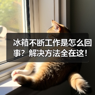 冰箱不断工作是怎么回事?解决方法全在这!(图4) 冰箱不断工作是怎么回事?解决方法全在这!(图4)