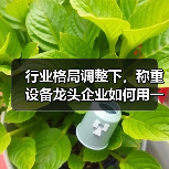 行业格局调整下,称重设备龙头企业如何用一体化作业稳赢?(图4) 行业格局调整下,称重设备龙头企业如何用一体化作业稳赢?(图4)