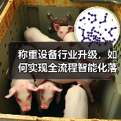 称重设备行业升级,如何实现全流程智能化落地一体化作业?(图4) 称重设备行业升级,如何实现全流程智能化落地一体化作业?(图4)