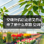 空调外机启动后又自动停了是什么原因 空调外机启动后又自动停了解决方案【详解】(图2) 空调外机启动后又自动停了是什么原因 空调外机启动后又自动停了解决方案【详解】(图2)