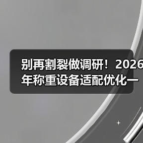 别再割裂做调研!2026年称重设备适配优化一体化作业指南(图2) 别再割裂做调研!2026年称重设备适配优化一体化作业指南(图2)