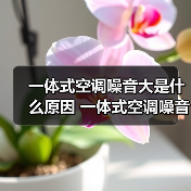 一体式空调噪音大是什么原因 一体式空调噪音大解决方法【详解】(图1) 一体式空调噪音大是什么原因 一体式空调噪音大解决方法【详解】(图1)