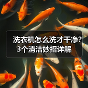 洗衣机怎么洗才干净?3个清洁妙招详解(图2) 洗衣机怎么洗才干净?3个清洁妙招详解(图2)