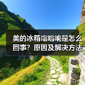 美的冰箱嗡嗡响是怎么回事?原因及解决方法详解(图2) 美的冰箱嗡嗡响是怎么回事?原因及解决方法详解(图2)