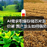 AI需求引爆存储芯片涨价潮 国产龙头如何借势逆袭？（图1）