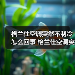 格兰仕空调突然不制冷怎么回事 格兰仕空调突然不制冷解决方法【详解】(图1) 格兰仕空调突然不制冷怎么回事 格兰仕空调突然不制冷解决方法【详解】(图1)