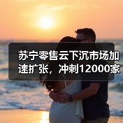 苏宁零售云下沉市场加速扩张,冲刺12000家门店(图2) 苏宁零售云下沉市场加速扩张,冲刺12000家门店(图2)