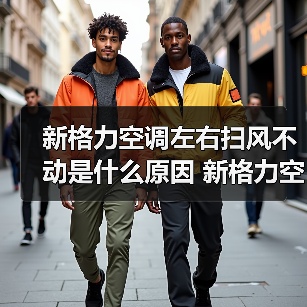 新格力空调左右扫风不动是什么原因 新格力空调左右扫风不动解决方法【详解】(图4) 新格力空调左右扫风不动是什么原因 新格力空调左右扫风不动解决方法【详解】(图4)